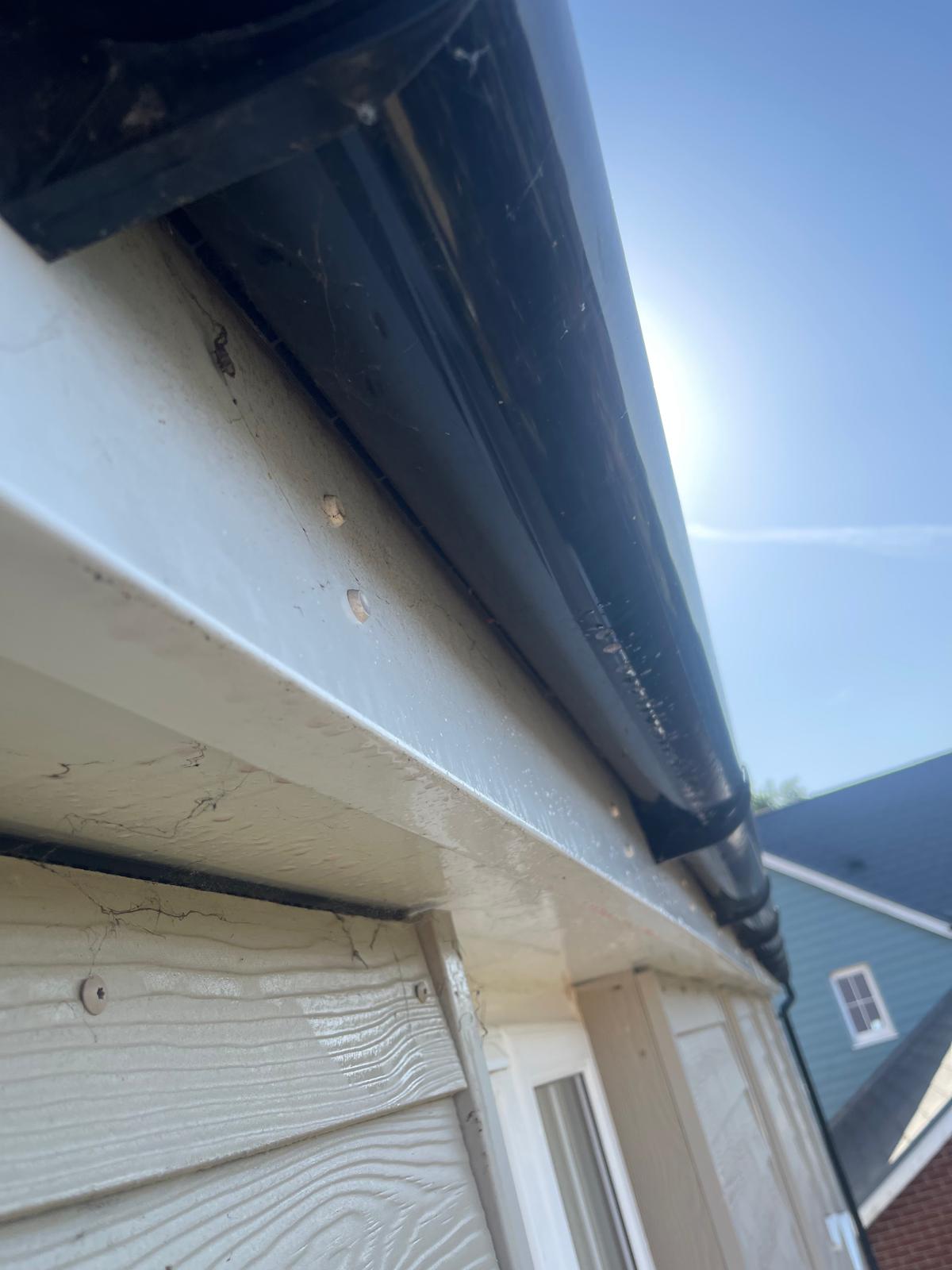 Window Cleaning - Before cleaning